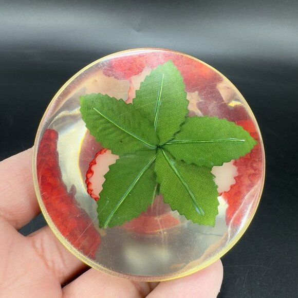 Dome Shape Acrylic Resin Lucite Round Paperweight Red Raspberry Leaves Vintage - Picture 5 of 13